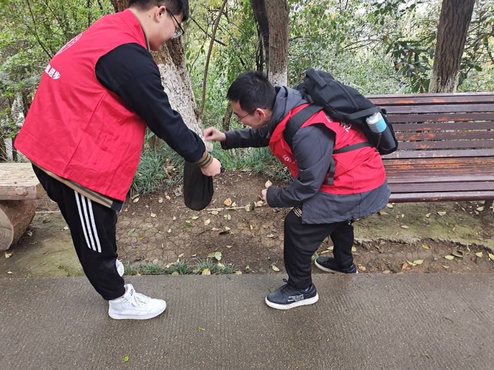 6.png