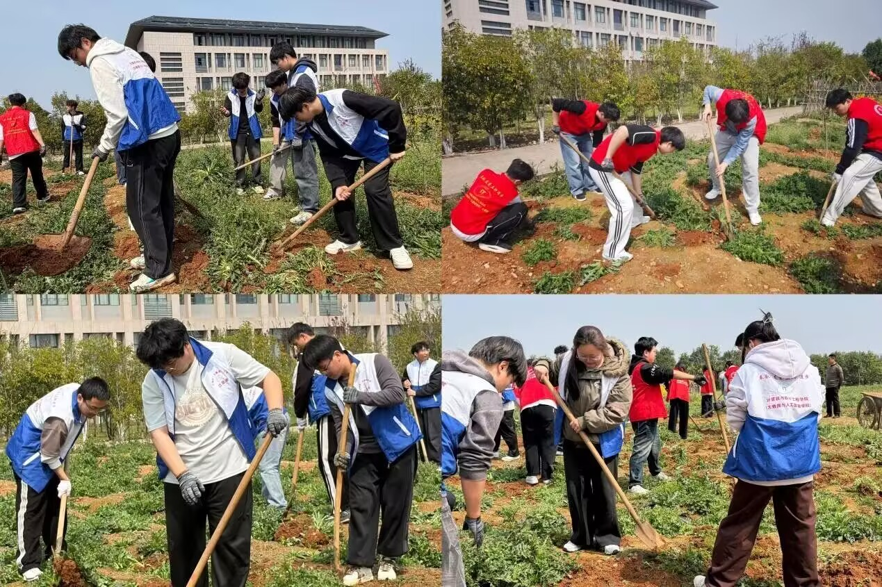 图片1(8).png 图片1(8).png