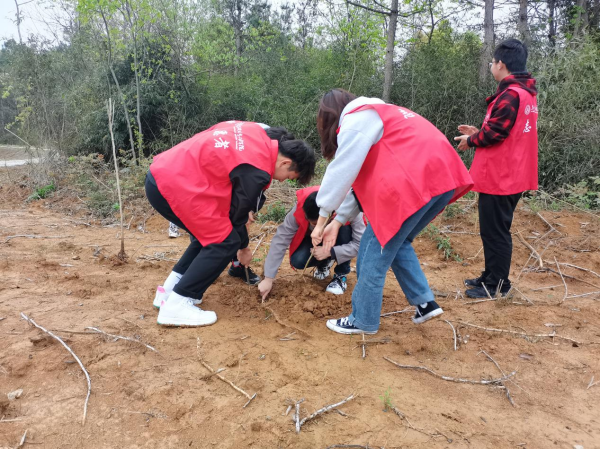 WPS图片-修改尺寸(1).png WPS图片-修改尺寸(1).png