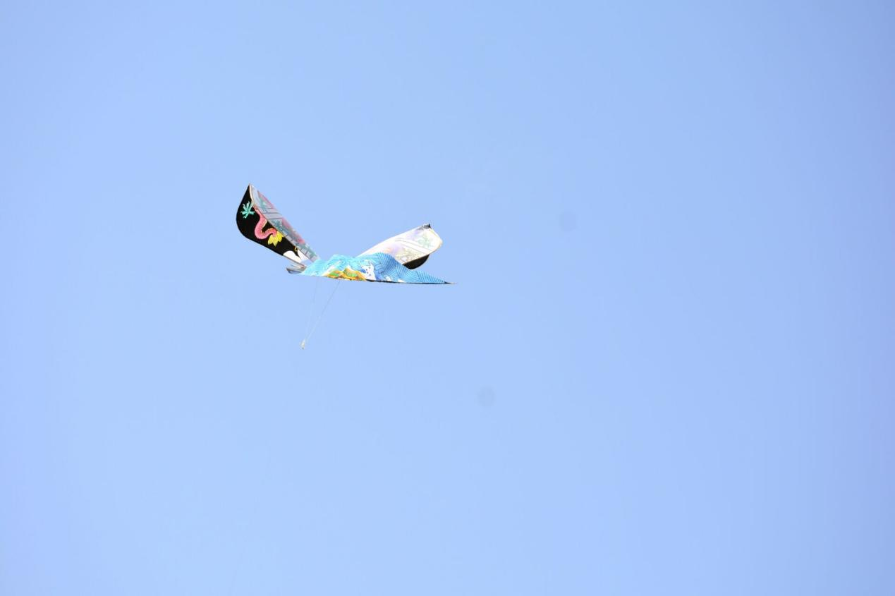 图片3.png 图片3.png