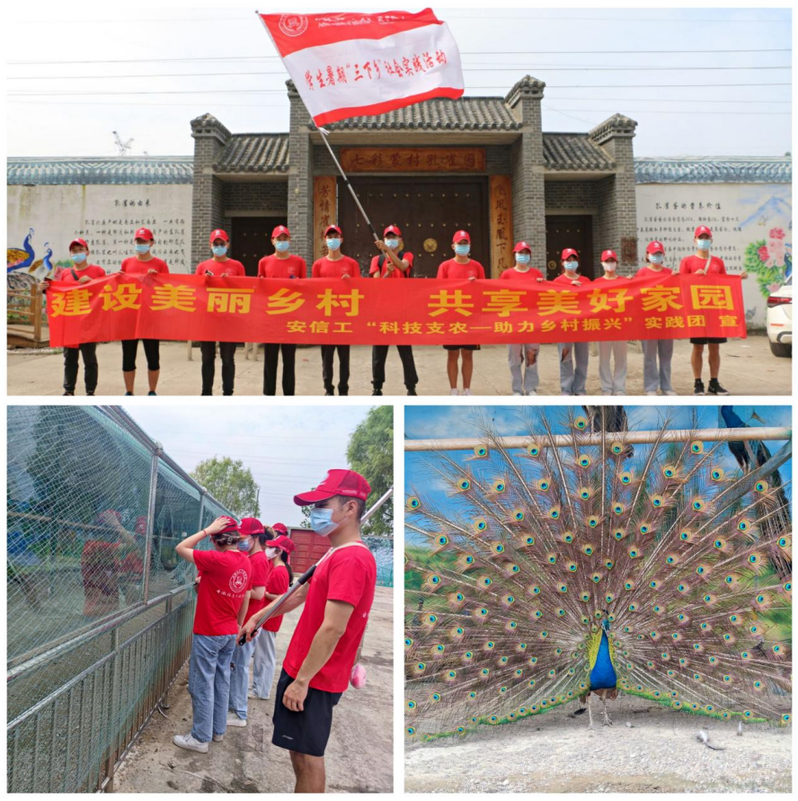 屏幕截图 2021-08-10 214805.png 屏幕截图 2021-08-10 214805.png