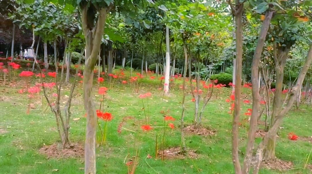 图片5.png 图片5.png