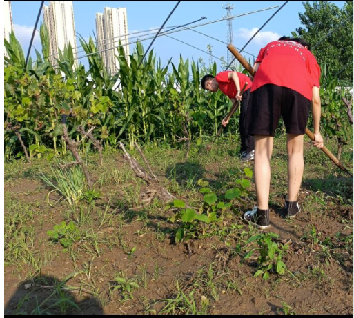 图片2.png 图片2.png