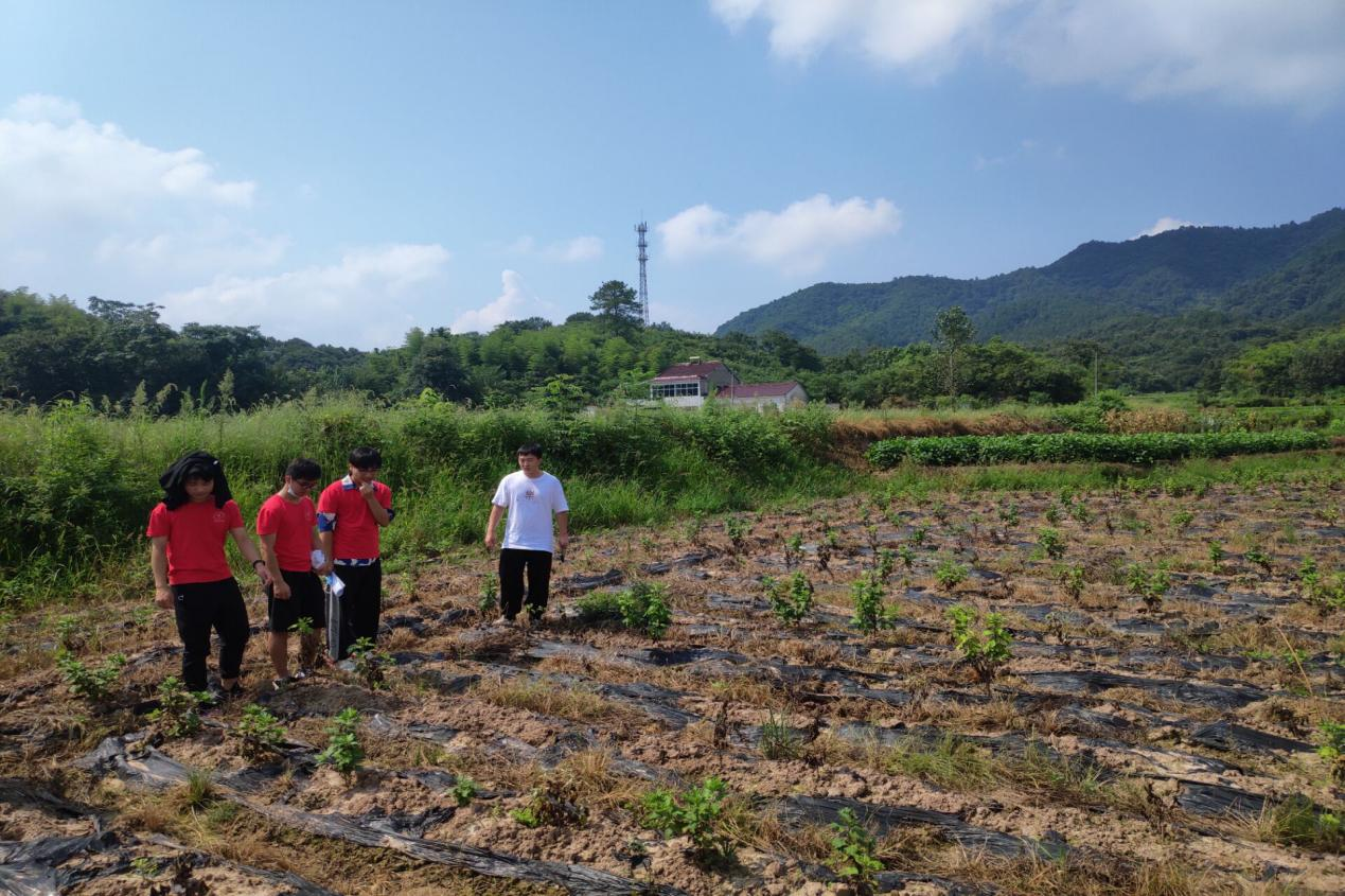 图片12.png 图片12.png