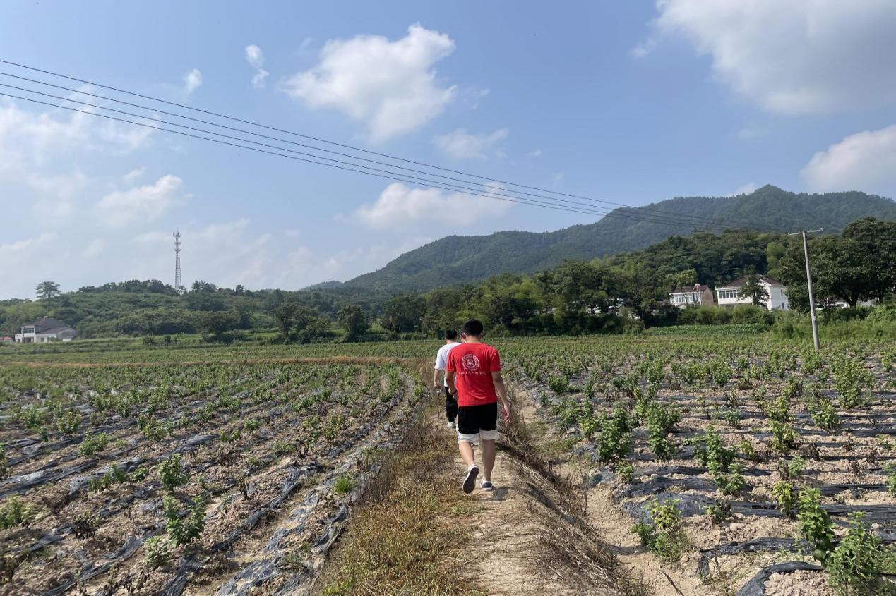 图片14.png 图片14.png