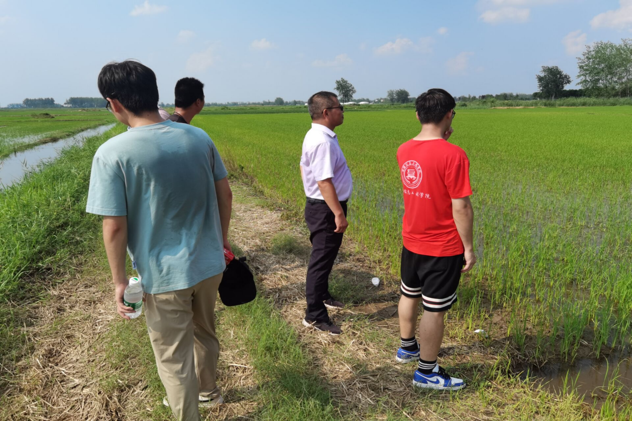 图片4.png 图片4.png