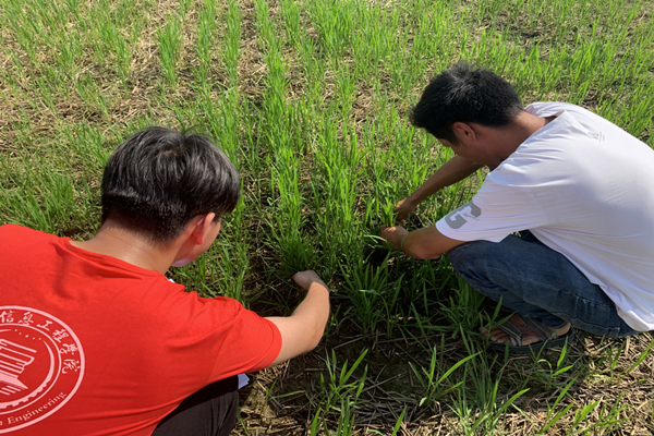 图片3_副本.png 图片3_副本.png