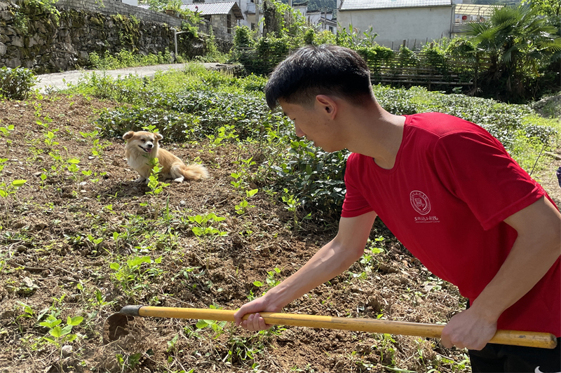 图片6.png 图片6.png