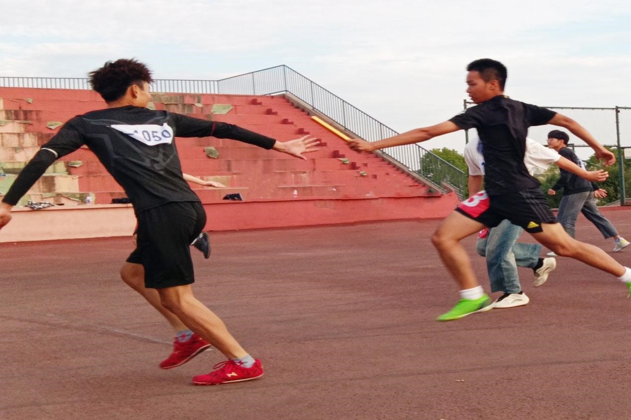 图片5.jpg 图片5.jpg