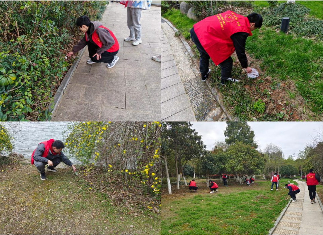 图片1.png 图片1.png