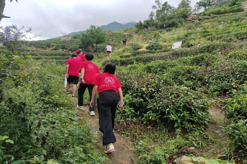 图片21.png 图片21.png