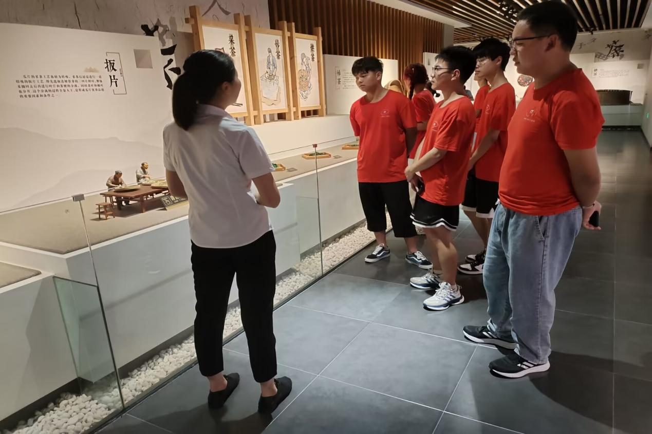 图片1.png 图片1.png