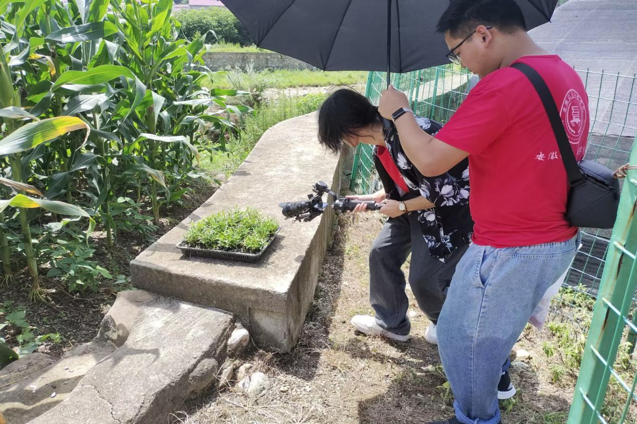 图片13.png 图片13.png