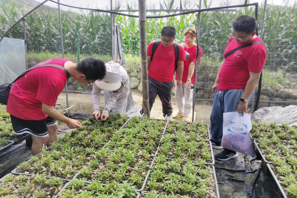 图片12(1).png 图片12(1).png