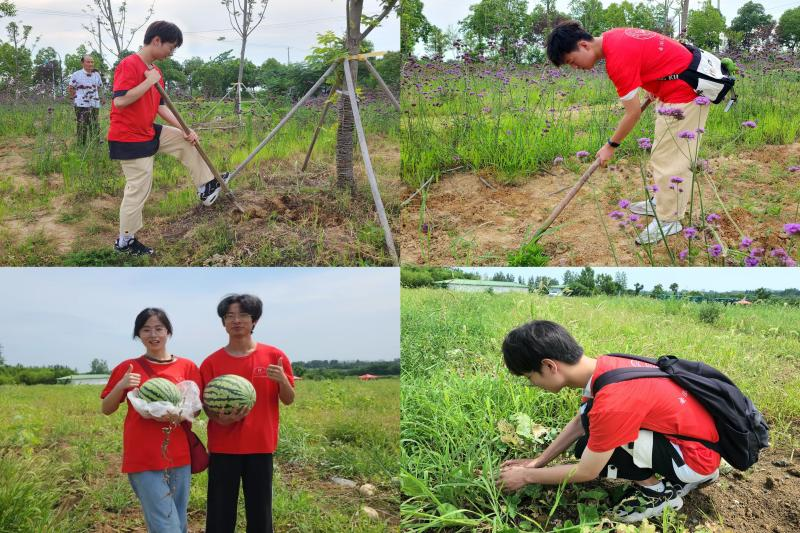 图片6.png 图片6.png