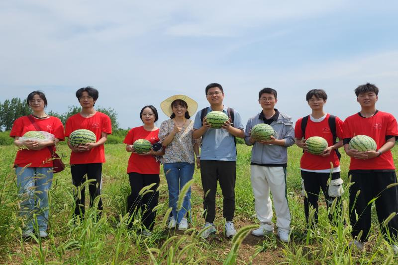 图片7.png 图片7.png