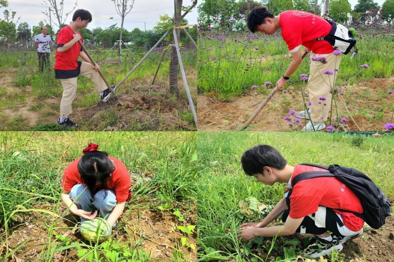 图片3.png 图片3.png