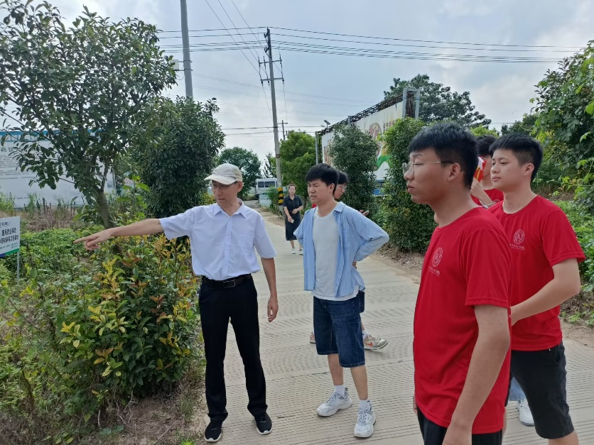 图片3.png 图片3.png