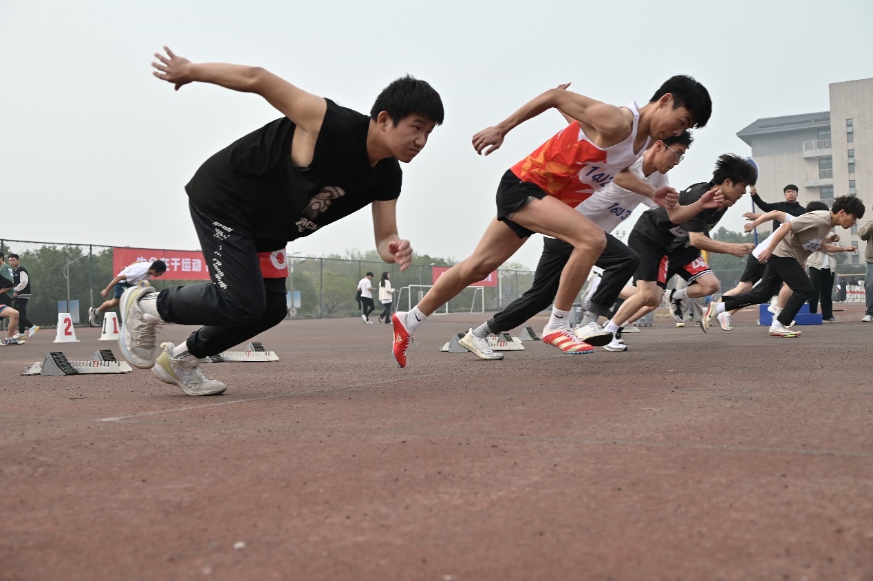 图片9.jpg 图片9.jpg