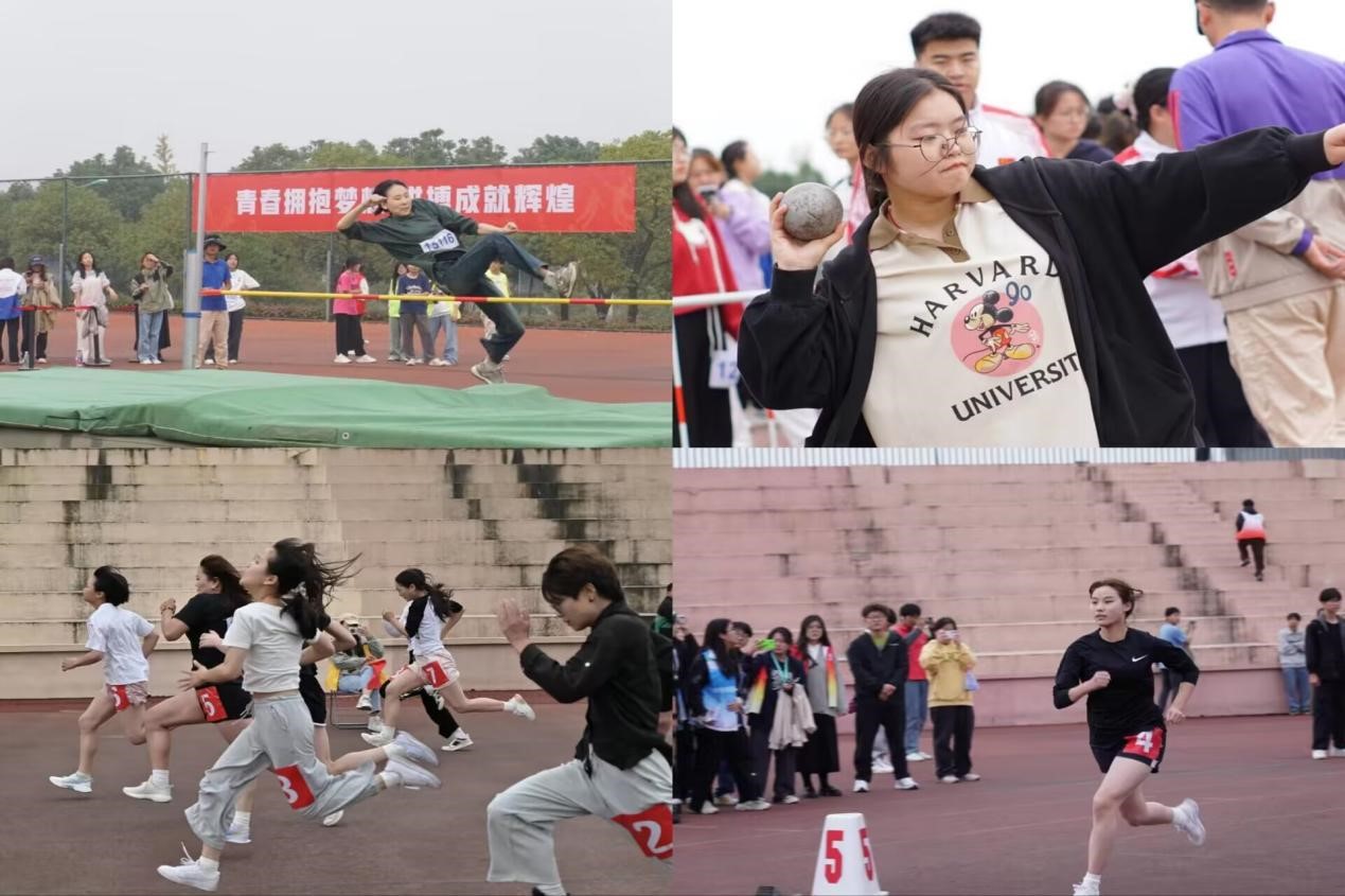 图片1.jpg 图片1.jpg