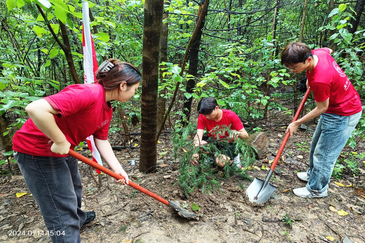 图片3.jpg 图片3.jpg