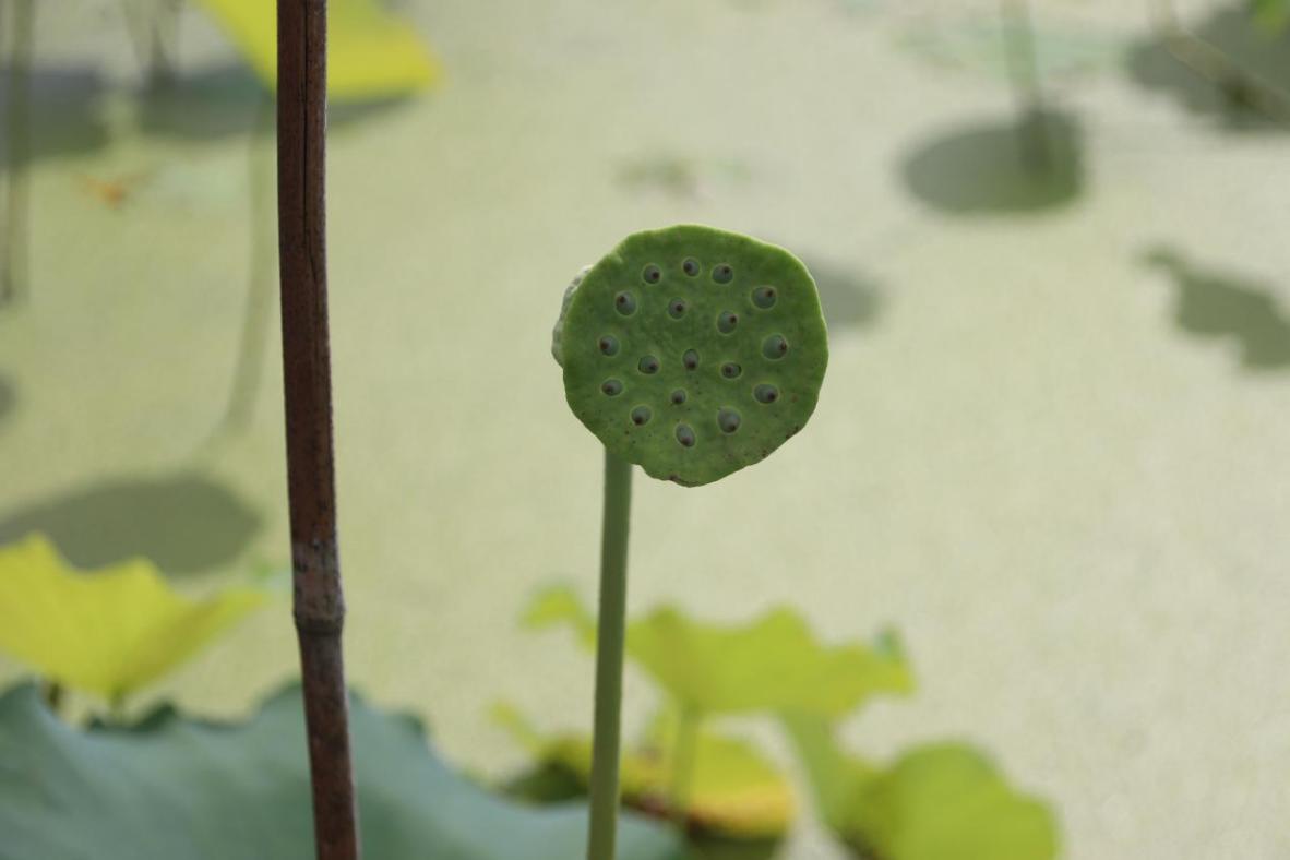 图片2.jpg 图片2.jpg