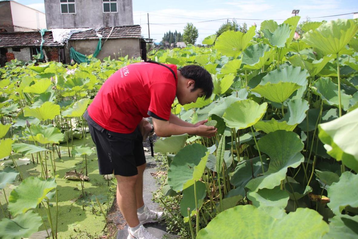 图片3.jpg 图片3.jpg