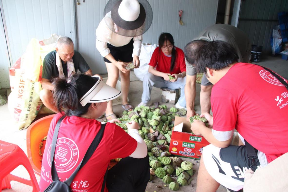 图片4.jpg 图片4.jpg