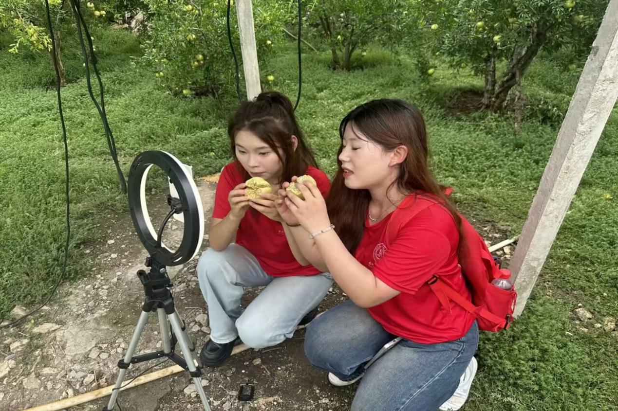 图片3.jpg 图片3.jpg