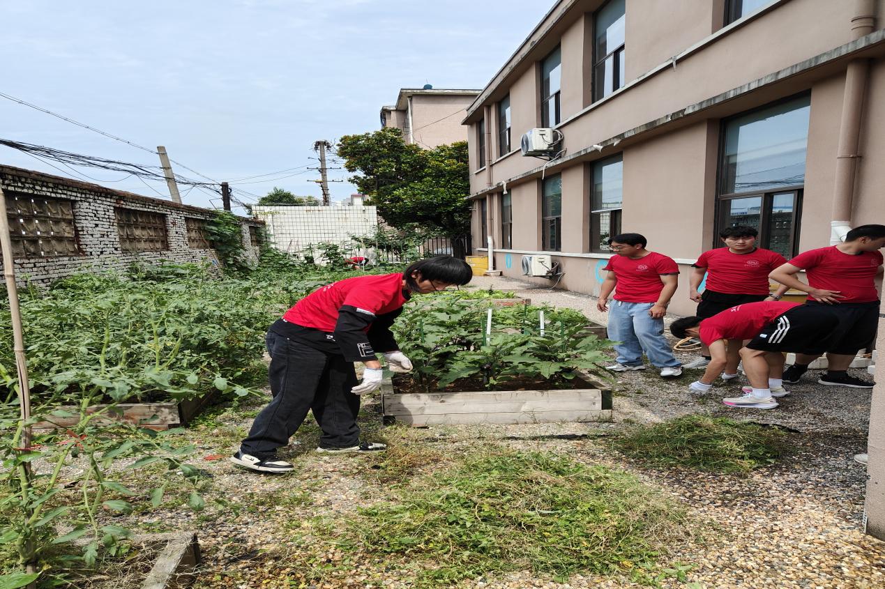 图片7.jpg 图片7.jpg