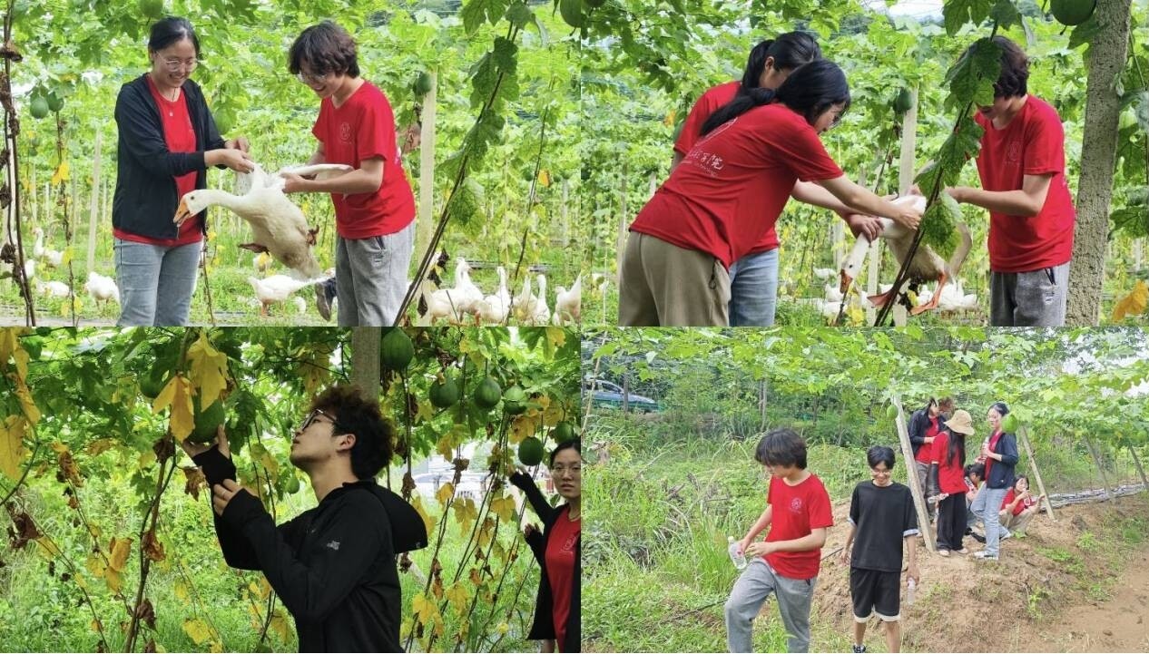 图片6.jpg 图片6.jpg