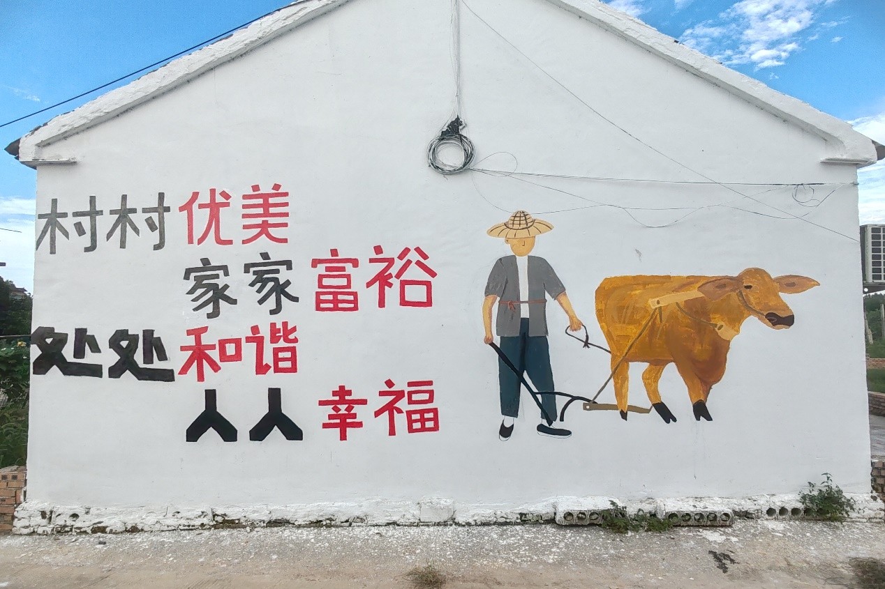 图片5.jpg 图片5.jpg