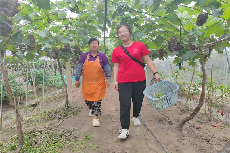 图片1.jpg 图片1.jpg