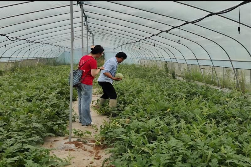 图片2.jpg 图片2.jpg