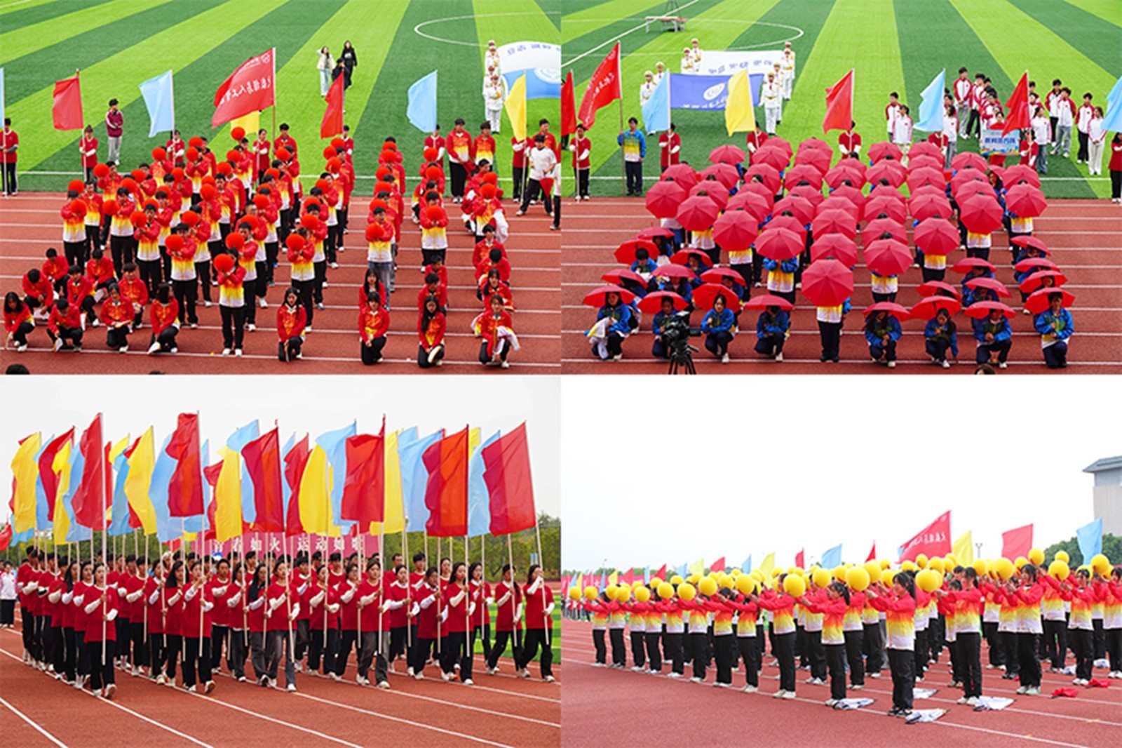 图片4.jpg 图片4.jpg