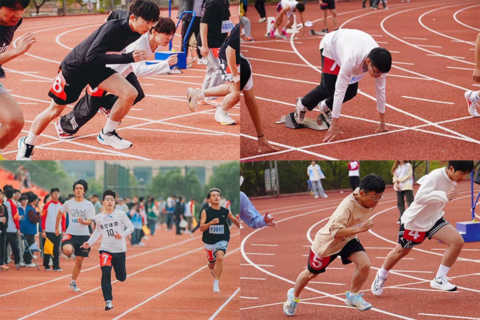 图片9.jpg 图片9.jpg