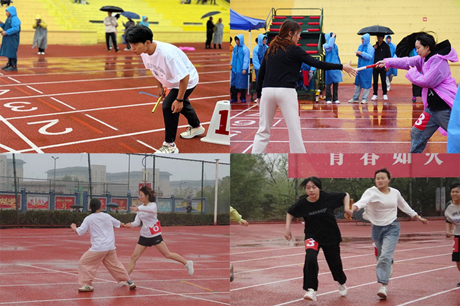 图片11.jpg 图片11.jpg