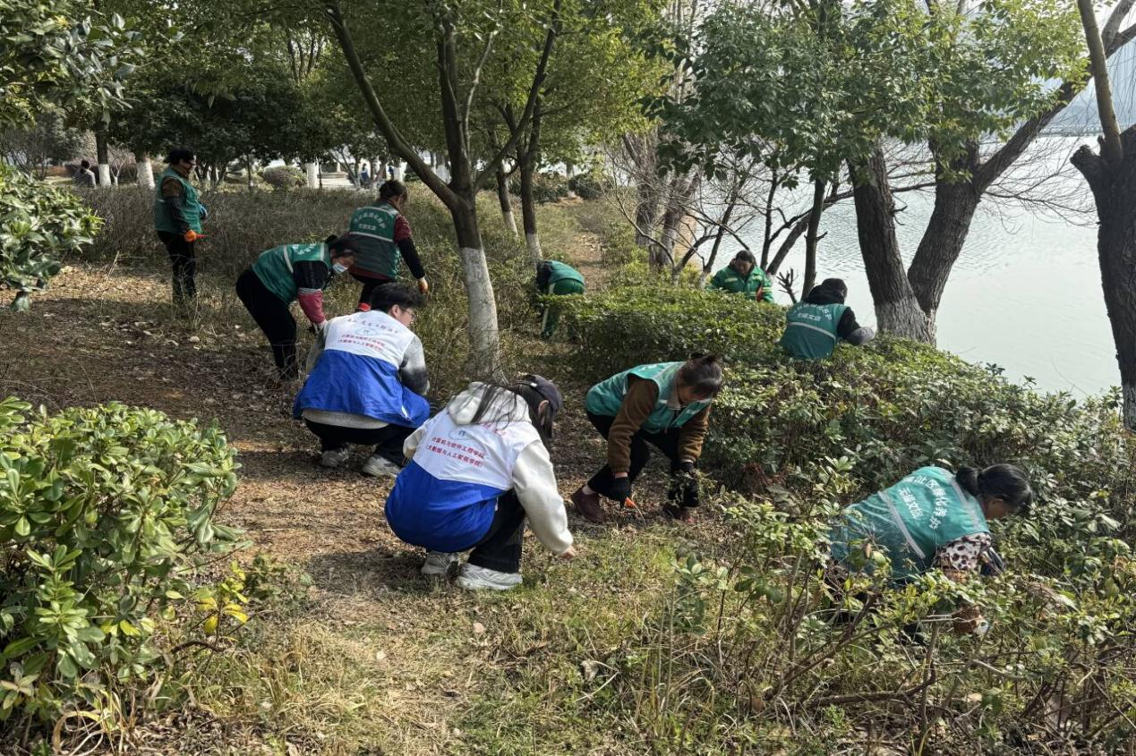 图片36.png 图片36.png