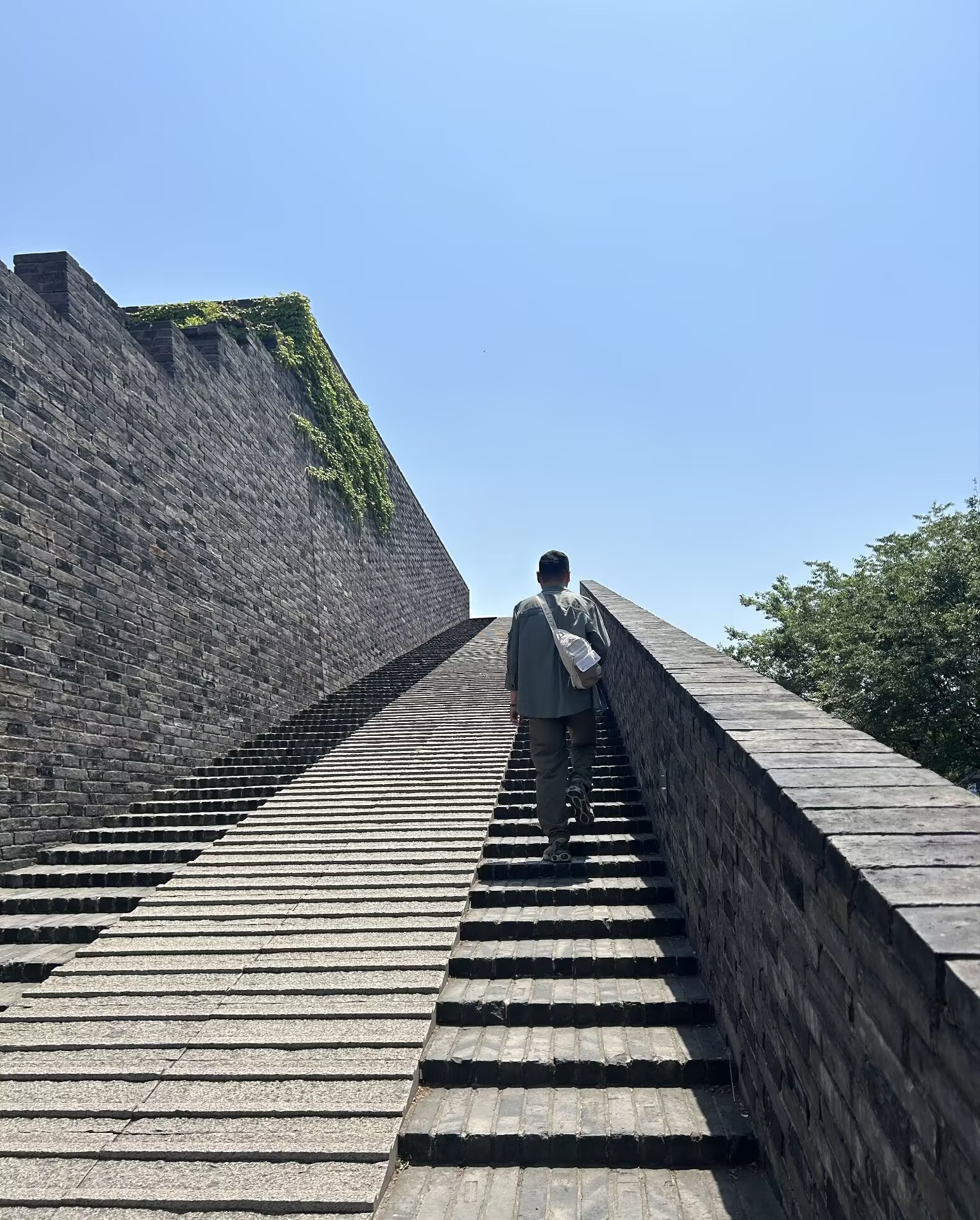 0095F6111AA86886CEEB085E2EAB2FDE.jpg 0095F6111AA86886CEEB085E2EAB2FDE.jpg