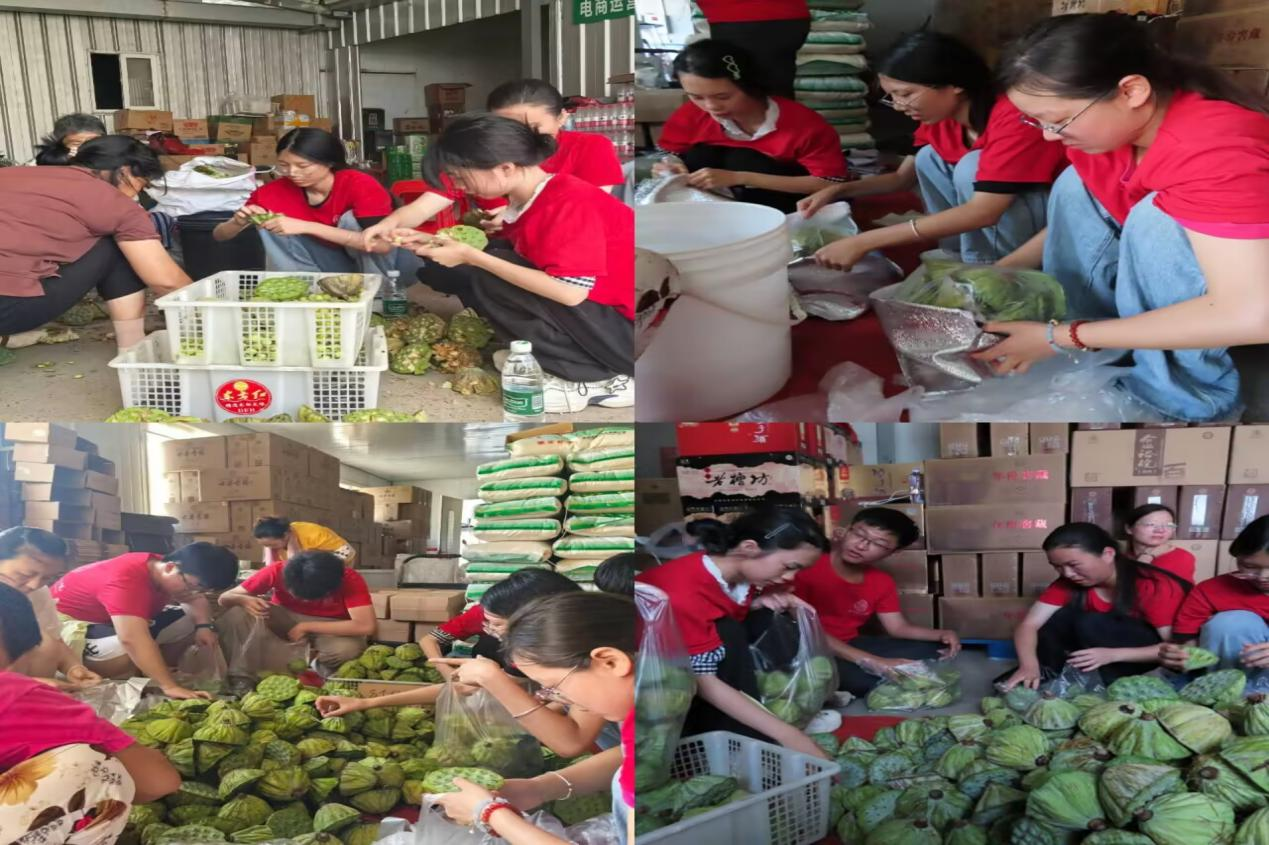 图片17.png 图片17.png