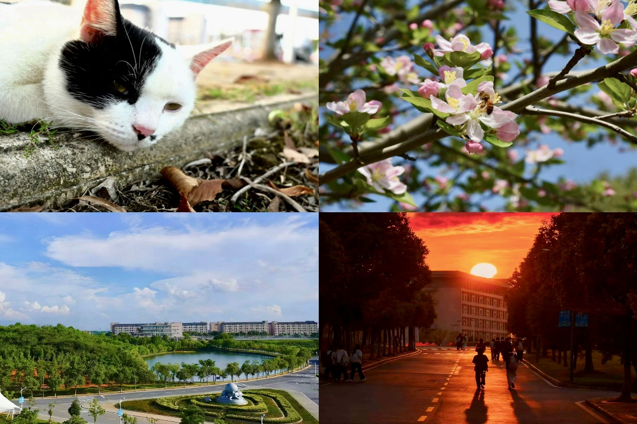 图片6.png 图片6.png